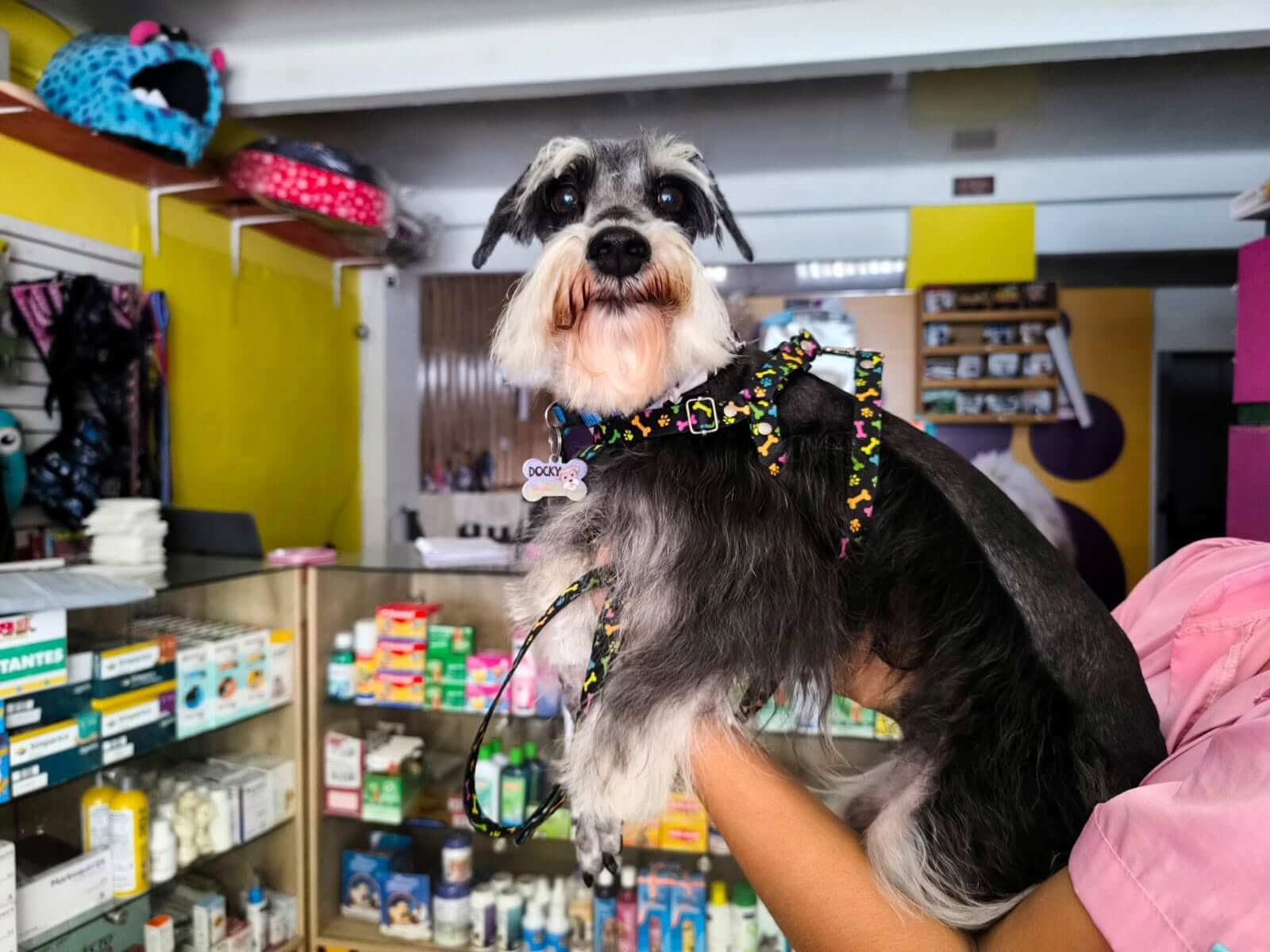 Huellas Pet Shop