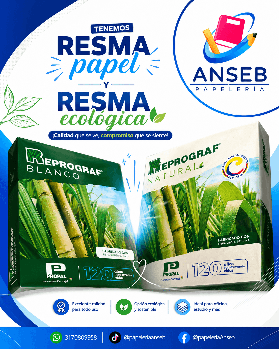 Papelería ANSEB